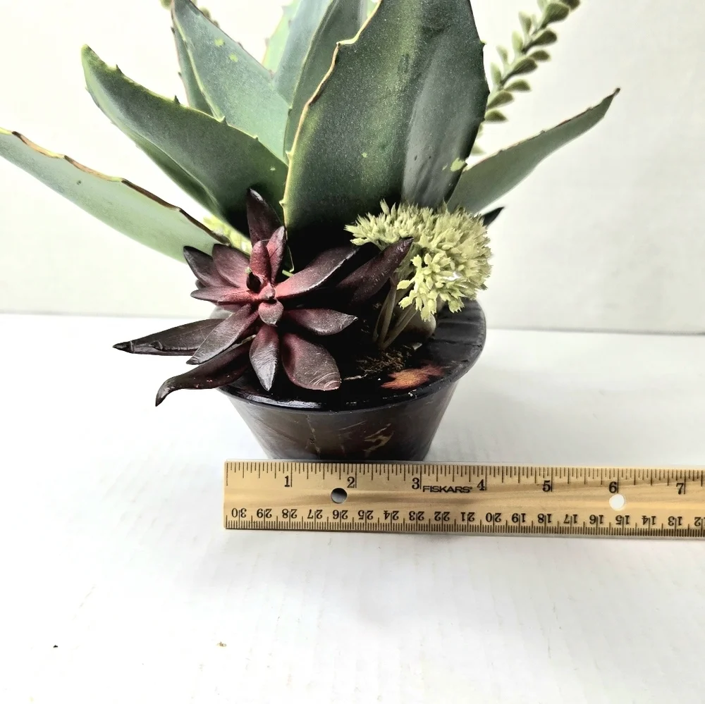 Succulent Floral Arrangement